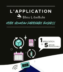 Internet/Numérique Bleu Libellule lance une application business