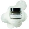 NOUVEAUTES PRODUITS L’Oréal Professionnel<br>Absolut Repair<br>Septembre 2024